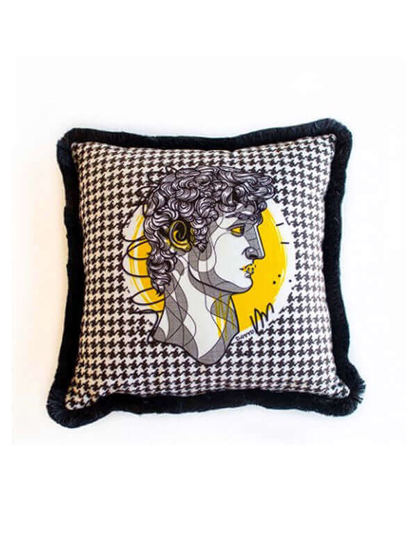 DAVID VELVET CUSHION