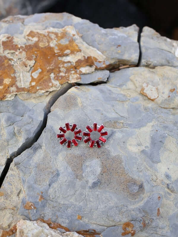 Shiny Earrings