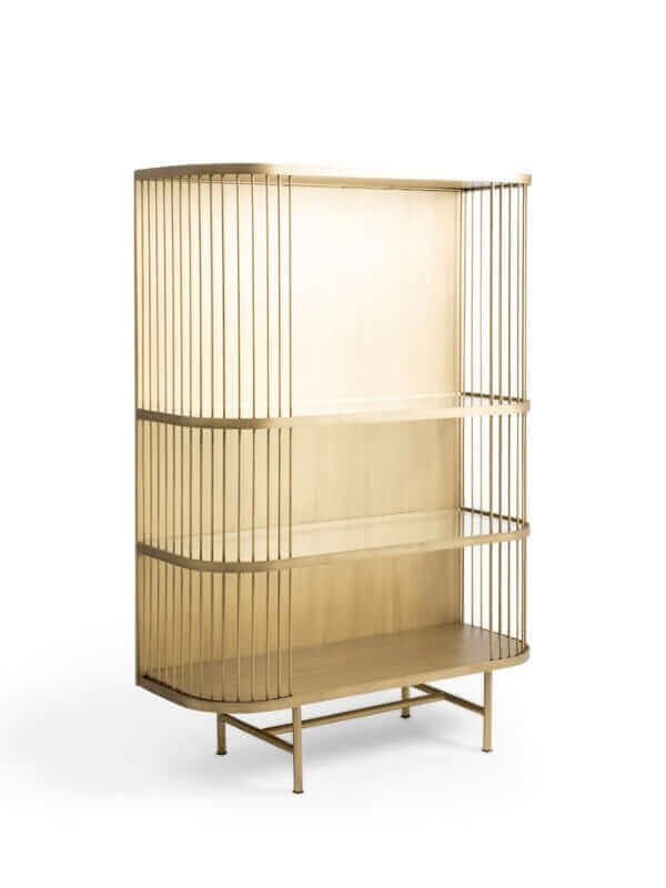 LAILA BRASS SHOWCASE WITH GLASS SHELVES